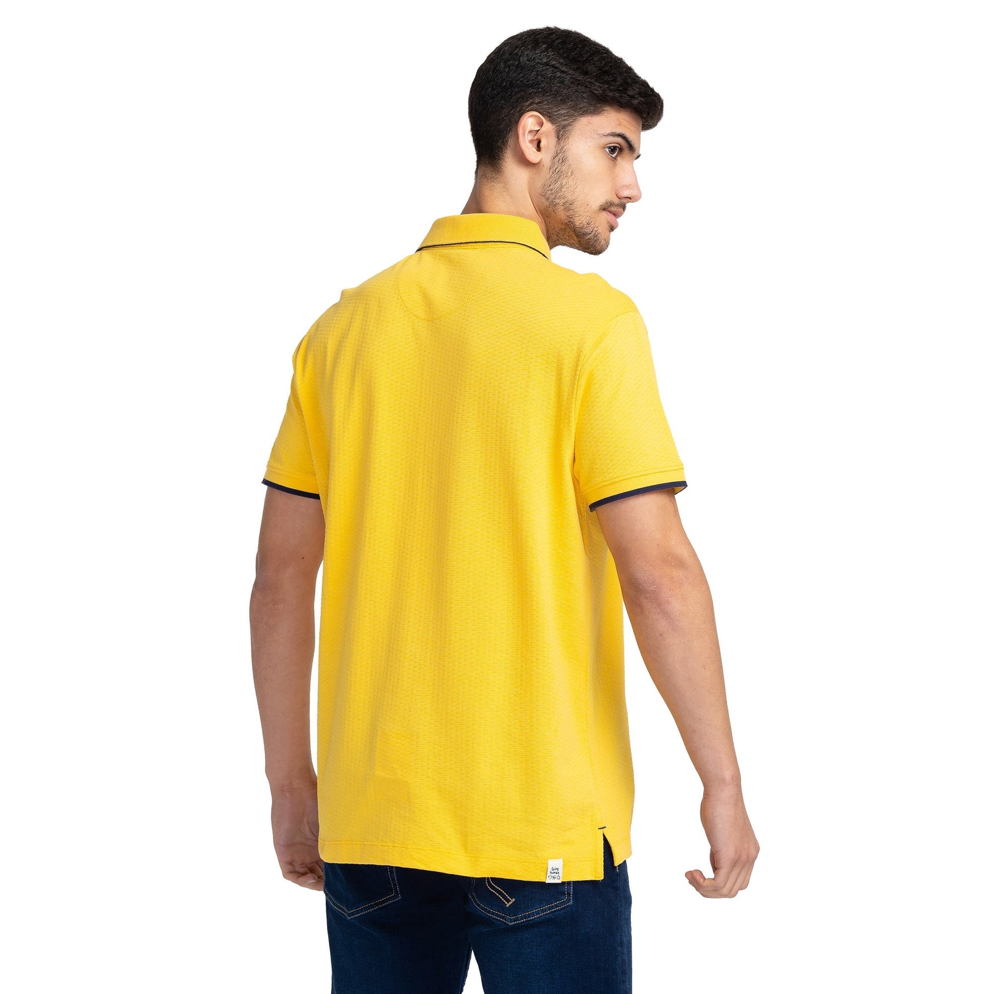 DAFFODIL